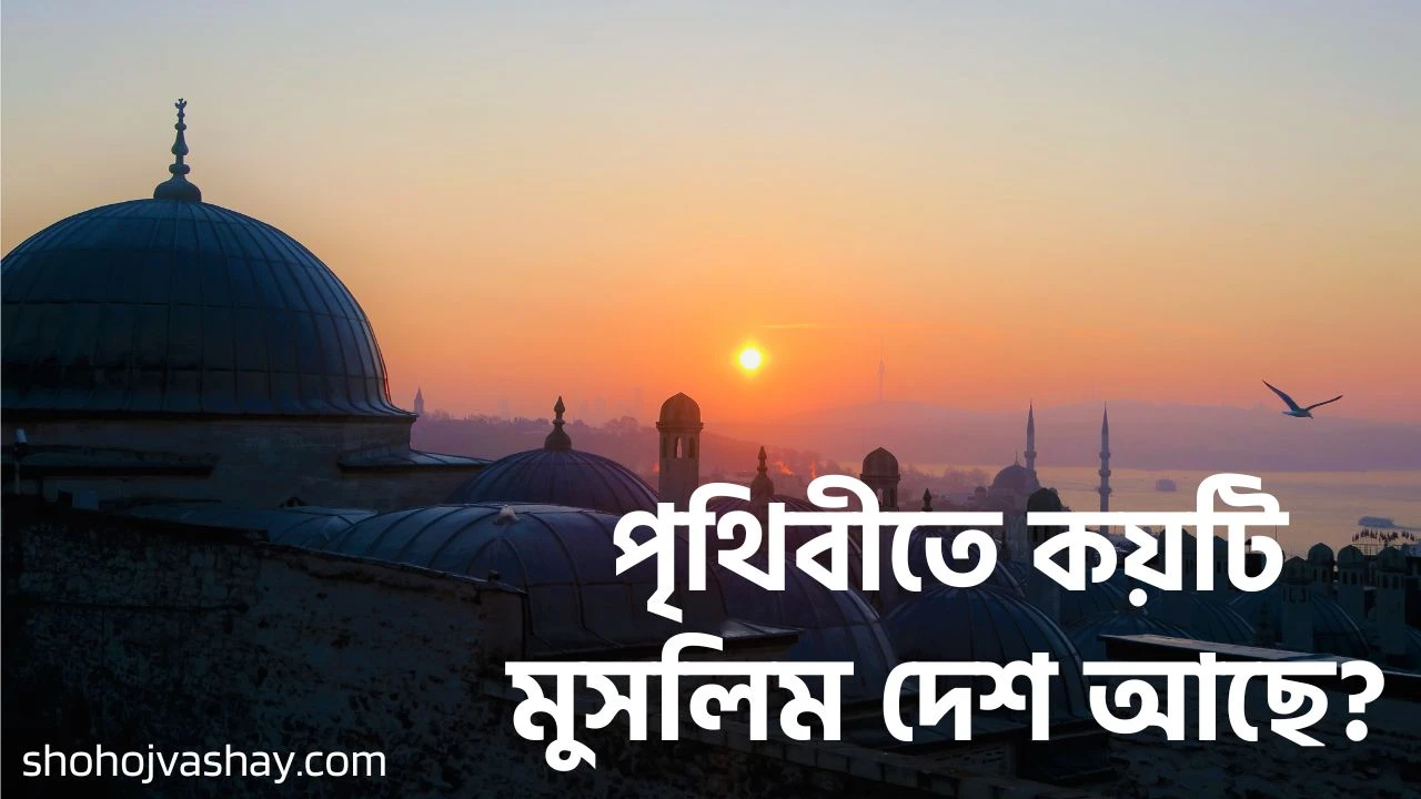 পৃথিবীতে কয়টি মুসলিম দেশ আছে?