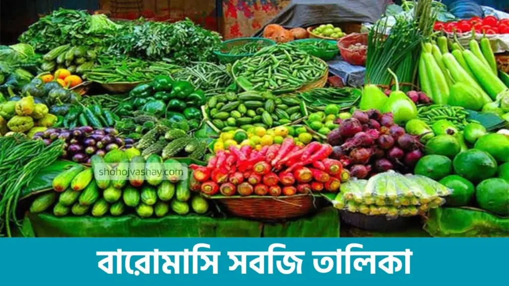 বারোমাসি সবজি তালিকা ২০২৬: সারা বছরের চাষ পরিকল্পনা