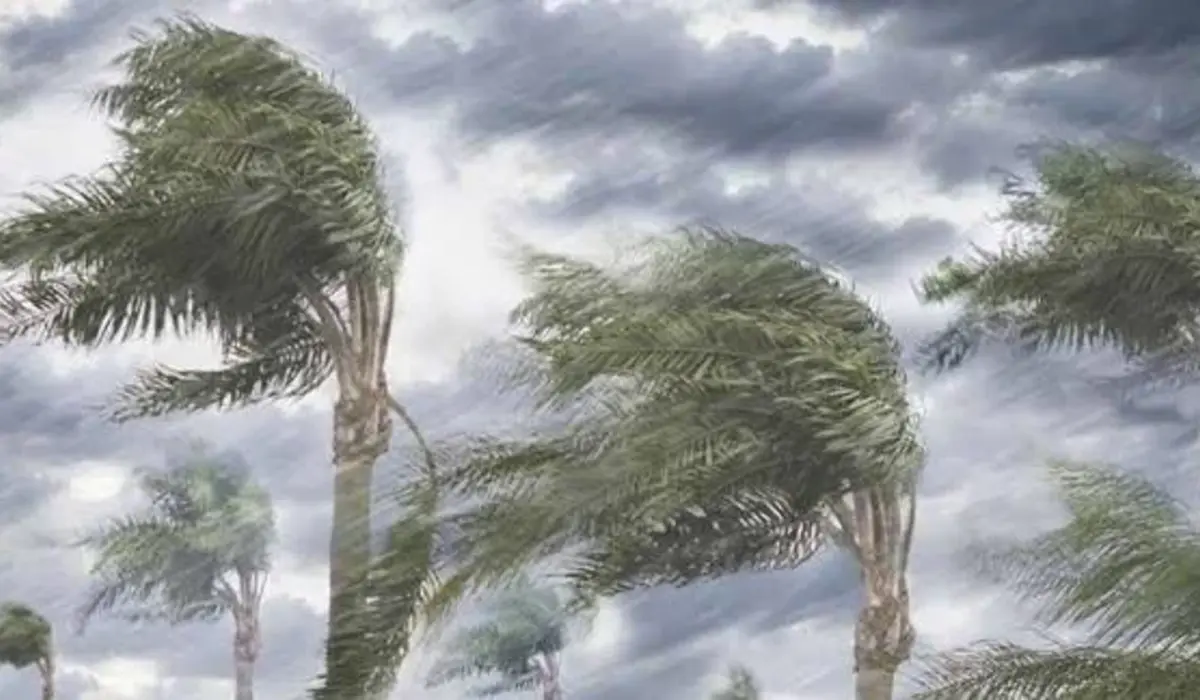 বঙ্গোপসাগরে লঘুচাপ, ঢাকাসহ দেশে আরও ১০ দিন বৃষ্টির পূর্বাভাস