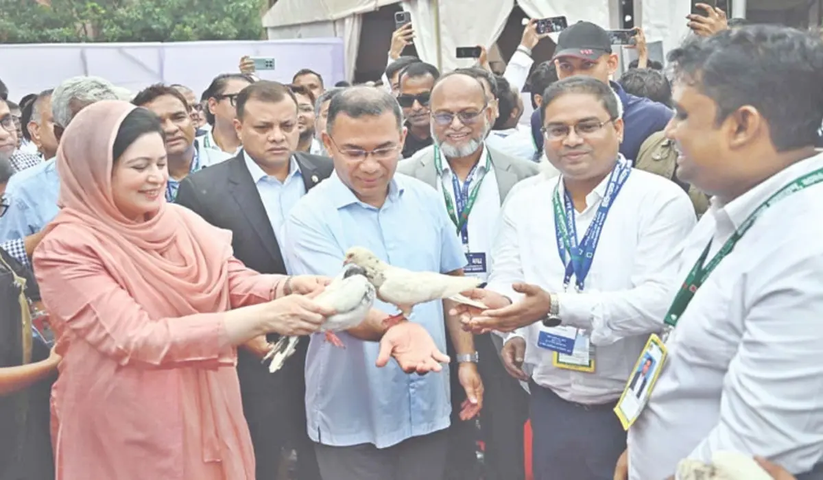 বিদ্যুৎ-জ্বালানি খাত অস্থিতিশীলের চেষ্টা চলছে: প্রধানমন্ত্রী