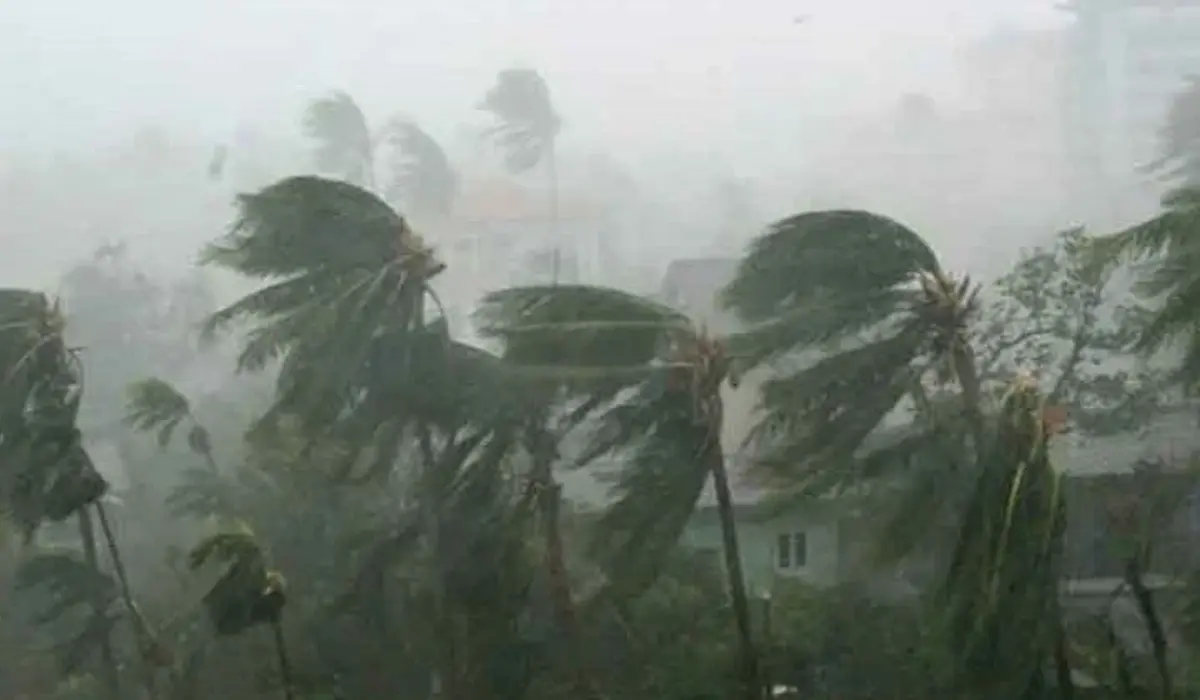 ৯ অঞ্চলে ঝড়-বৃষ্টির পূর্বাভাস, নদীবন্দরে ১ নম্বর সতর্ক সংকেত